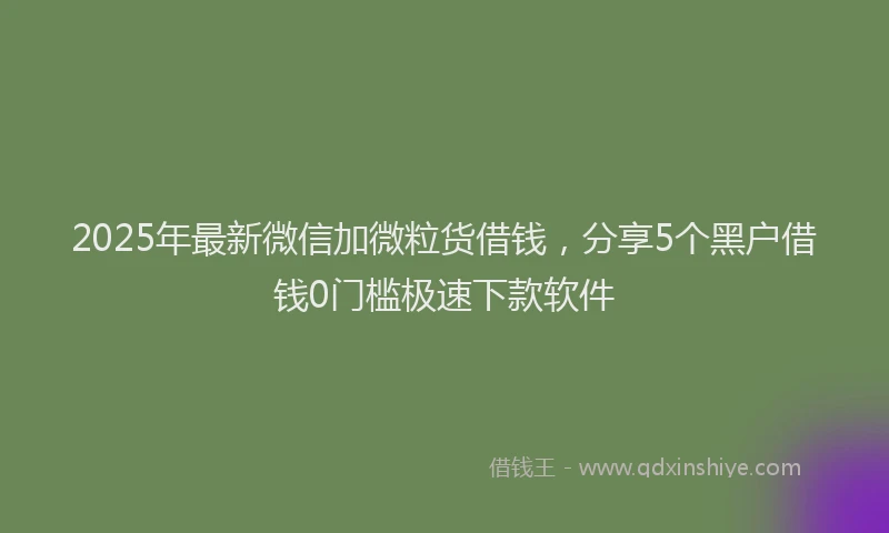 2025年最新微信加微粒货借钱，分享5个黑户借钱0门槛极速下款软件