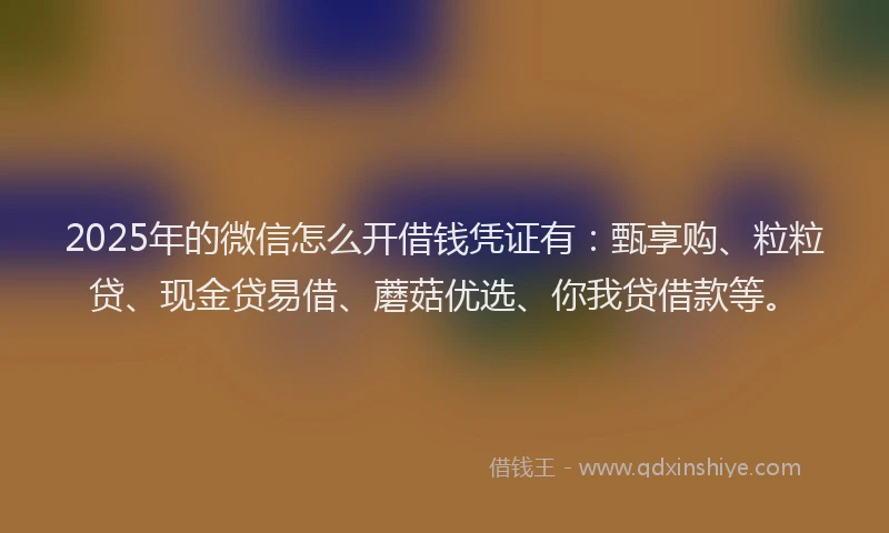 2025年的微信怎么开借钱凭证有：甄享购、粒粒贷、现金贷易借、蘑菇优选、你我贷借款等。