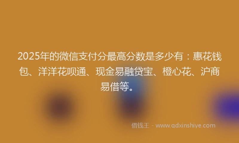 2025年的微信支付分最高分数是多少有：惠花钱包、洋洋花呗通、现金易融贷宝、橙心花、沪商易借等。