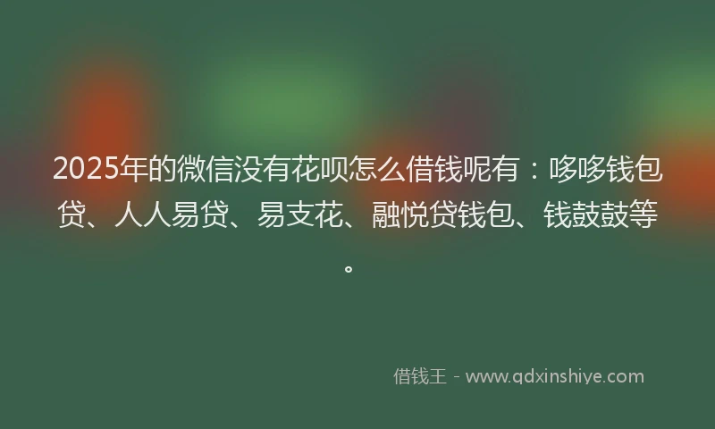 2025年的微信没有花呗怎么借钱呢有：哆哆钱包贷、人人易贷、易支花、融悦贷钱包、钱鼓鼓等。