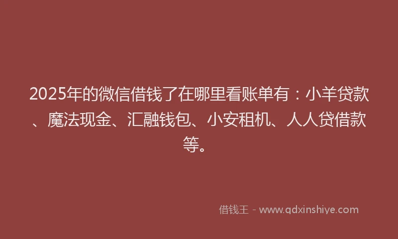 2025年的微信借钱了在哪里看账单有：小羊贷款、魔法现金、汇融钱包、小安租机、人人贷借款等。