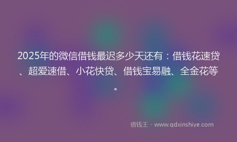 2025年的微信借钱最迟多少天还有：借钱花速贷、超爱速借、小花快贷、借钱宝易融、全金花等。