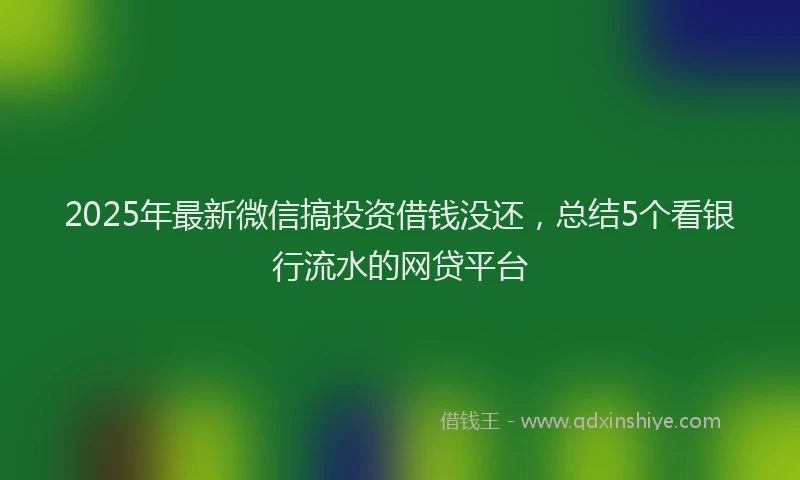 2025年最新微信搞投资借钱没还，总结5个看银行流水的网贷平台