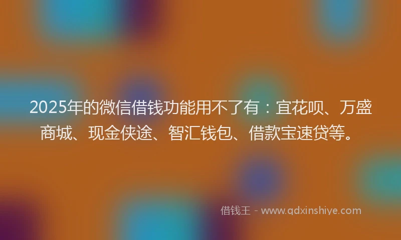 2025年的微信借钱功能用不了有：宜花呗、万盛商城、现金侠途、智汇钱包、借款宝速贷等。