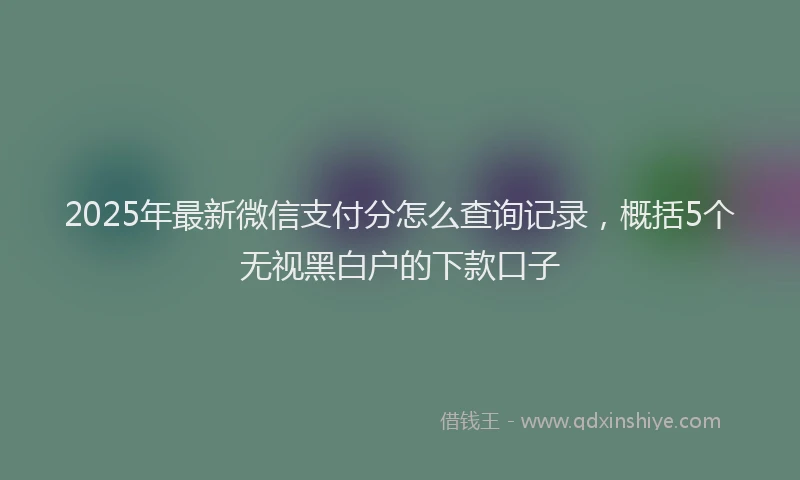 2025年最新微信支付分怎么查询记录，概括5个无视黑白户的下款口子