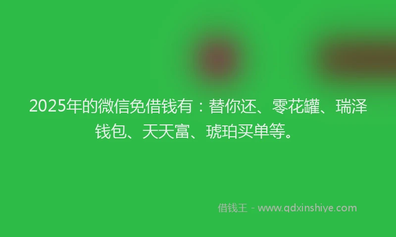 2025年的微信免借钱有：替你还、零花罐、瑞泽钱包、天天富、琥珀买单等。