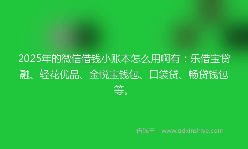 2025年的微信借钱小账本怎么用啊有：乐借宝贷融、轻花优品、金悦宝钱包、口袋贷、畅贷钱包等。