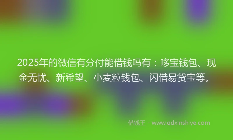 2025年的微信有分付能借钱吗有：哆宝钱包、现金无忧、新希望、小麦粒钱包、闪借易贷宝等。