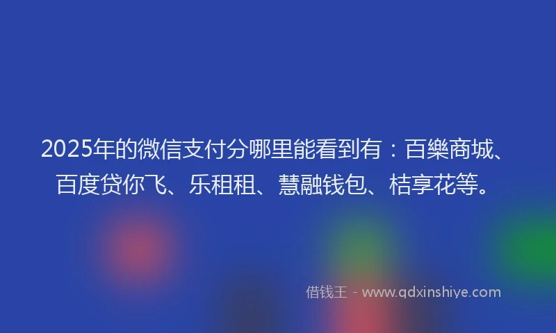 2025年的微信支付分哪里能看到有：百樂商城、百度贷你飞、乐租租、慧融钱包、桔享花等。