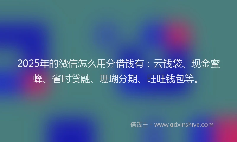 2025年的微信怎么用分借钱有：云钱袋、现金蜜蜂、省时贷融、珊瑚分期、旺旺钱包等。