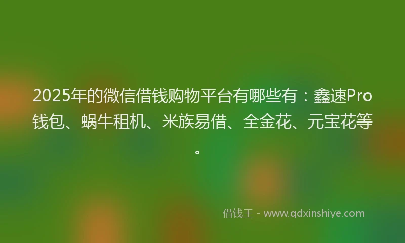 2025年的微信借钱购物平台有哪些有：鑫速Pro钱包、蜗牛租机、米族易借、全金花、元宝花等。
