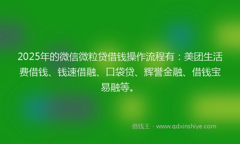 2025年的微信微粒贷借钱操作流程有：美团生活费借钱、钱速借融、口袋贷、辉誉金融、借钱宝易融等。