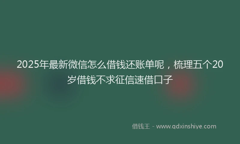 2025年最新微信怎么借钱还账单呢，梳理五个20岁借钱不求征信速借口子