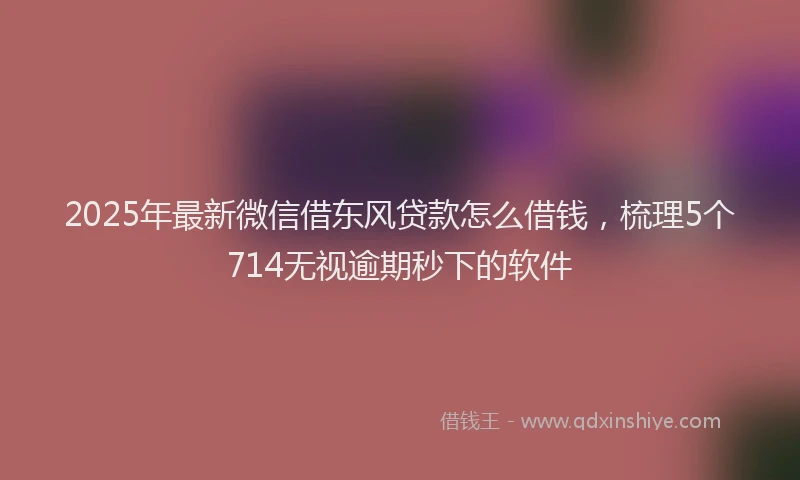 2025年最新微信借东风贷款怎么借钱，梳理5个714无视逾期秒下的软件