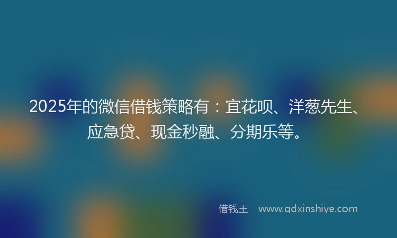 2025年的微信借钱策略有：宜花呗、洋葱先生、应急贷、现金秒融、分期乐等。