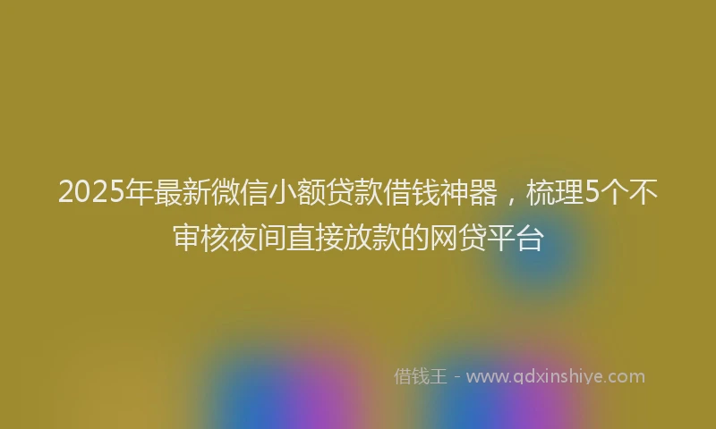2025年最新微信小额贷款借钱神器，梳理5个不审核夜间直接放款的网贷平台