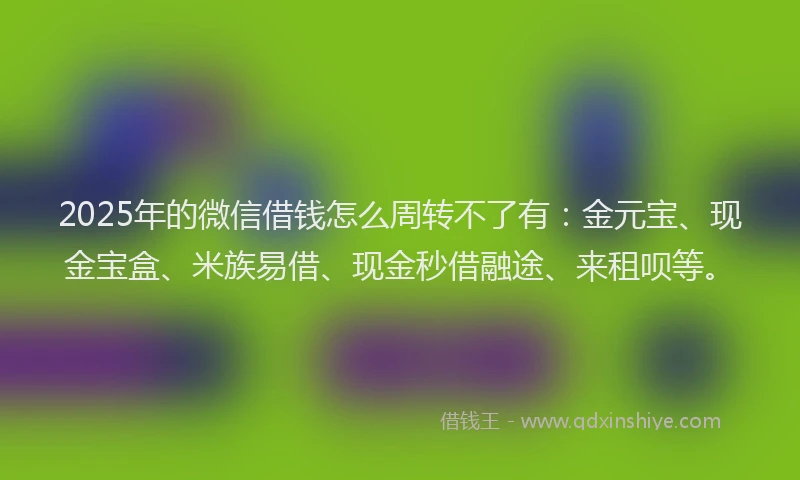 2025年的微信借钱怎么周转不了有：金元宝、现金宝盒、米族易借、现金秒借融途、来租呗等。