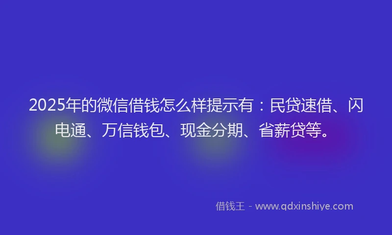 2025年的微信借钱怎么样提示有：民贷速借、闪电通、万信钱包、现金分期、省薪贷等。