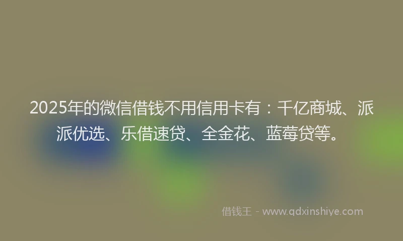 2025年的微信借钱不用信用卡有：千亿商城、派派优选、乐借速贷、全金花、蓝莓贷等。