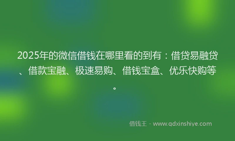 2025年的微信借钱在哪里看的到有：借贷易融贷、借款宝融、极速易购、借钱宝盒、优乐快购等。