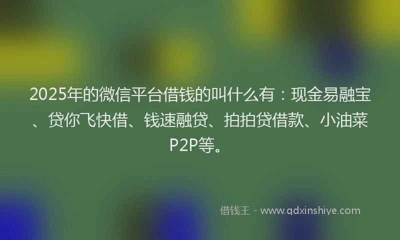 2025年的微信平台借钱的叫什么有：现金易融宝、贷你飞快借、钱速融贷、拍拍贷借款、小油菜P2P等。