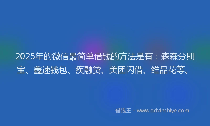 2025年的微信最简单借钱的方法是有：森森分期宝、鑫速钱包、疾融贷、美团闪借、维品花等。