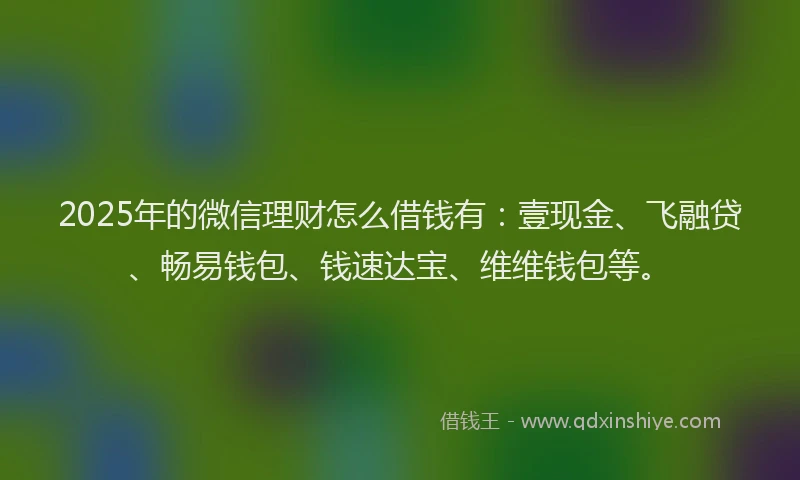 2025年的微信理财怎么借钱有：壹现金、飞融贷、畅易钱包、钱速达宝、维维钱包等。