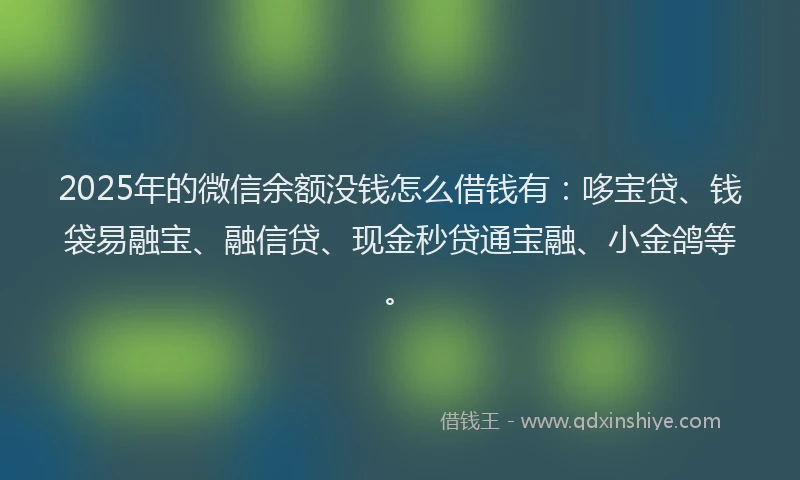 2025年的微信余额没钱怎么借钱有：哆宝贷、钱袋易融宝、融信贷、现金秒贷通宝融、小金鸽等。