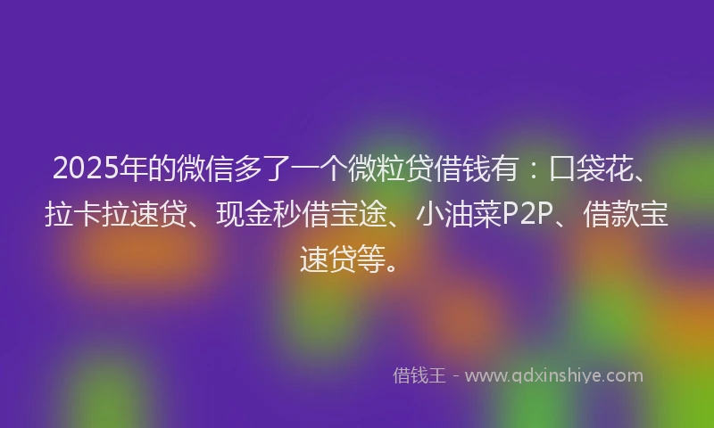 2025年的微信多了一个微粒贷借钱有：口袋花、拉卡拉速贷、现金秒借宝途、小油菜P2P、借款宝速贷等。