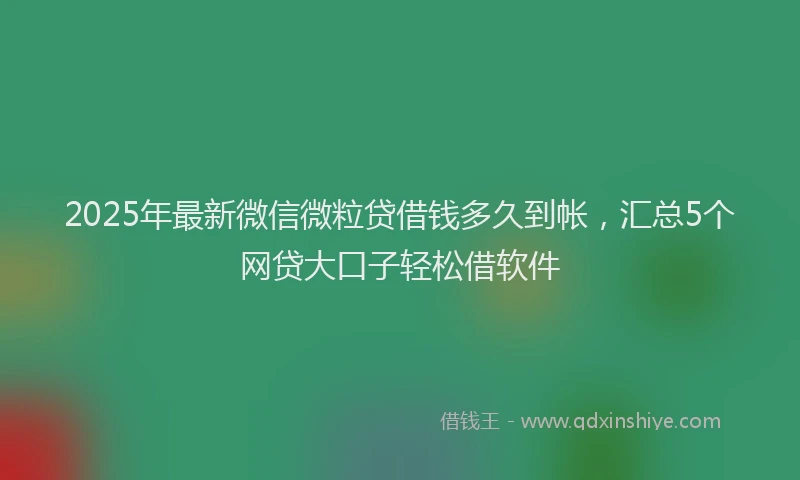 2025年最新微信微粒贷借钱多久到帐，汇总5个网贷大口子轻松借软件