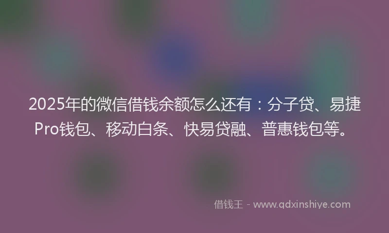 2025年的微信借钱余额怎么还有：分子贷、易捷Pro钱包、移动白条、快易贷融、普惠钱包等。