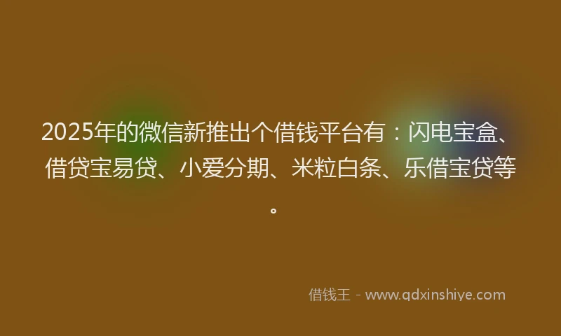2025年的微信新推出个借钱平台有：闪电宝盒、借贷宝易贷、小爱分期、米粒白条、乐借宝贷等。