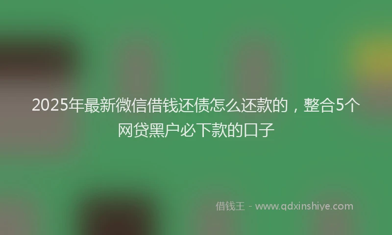2025年最新微信借钱还债怎么还款的，整合5个网贷黑户必下款的口子