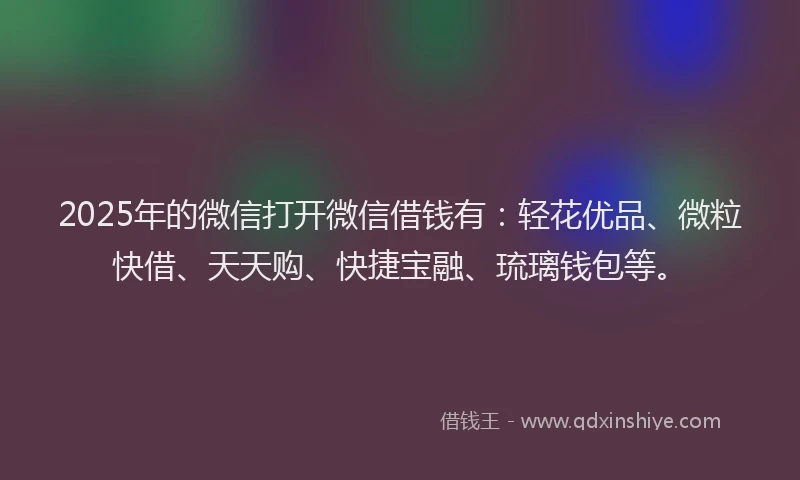 2025年的微信打开微信借钱有：轻花优品、微粒快借、天天购、快捷宝融、琉璃钱包等。