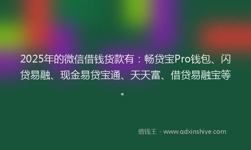 2025年的微信借钱货款有：畅贷宝Pro钱包、闪贷易融、现金易贷宝通、天天富、借贷易融宝等。