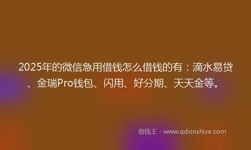 2025年的微信急用借钱怎么借钱的有：滴水易贷、金瑞Pro钱包、闪用、好分期、天天金等。