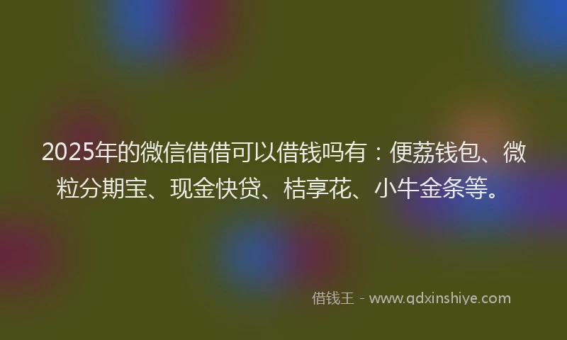 2025年的微信借借可以借钱吗有：便荔钱包、微粒分期宝、现金快贷、桔享花、小牛金条等。