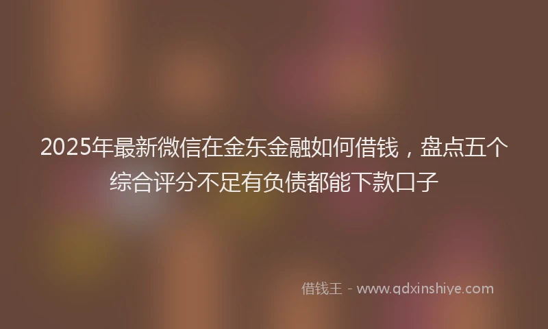 2025年最新微信在金东金融如何借钱，盘点五个综合评分不足有负债都能下款口子