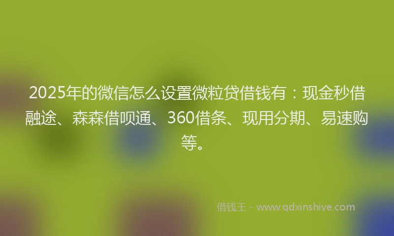 2025年的微信怎么设置微粒贷借钱有：现金秒借融途、森森借呗通、360借条、现用分期、易速购等。