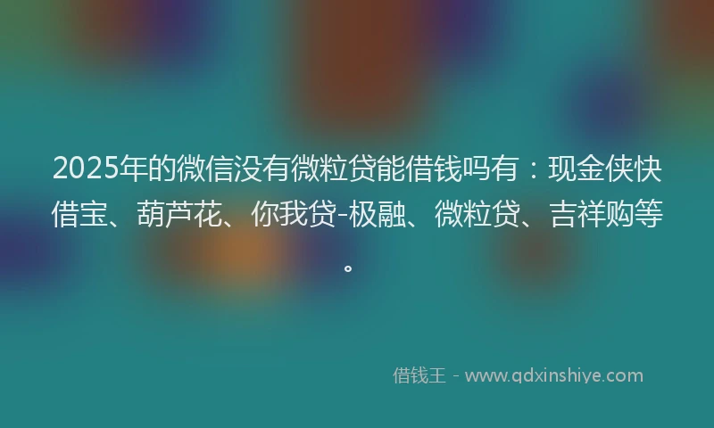 2025年的微信没有微粒贷能借钱吗有：现金侠快借宝、葫芦花、你我贷-极融、微粒贷、吉祥购等。