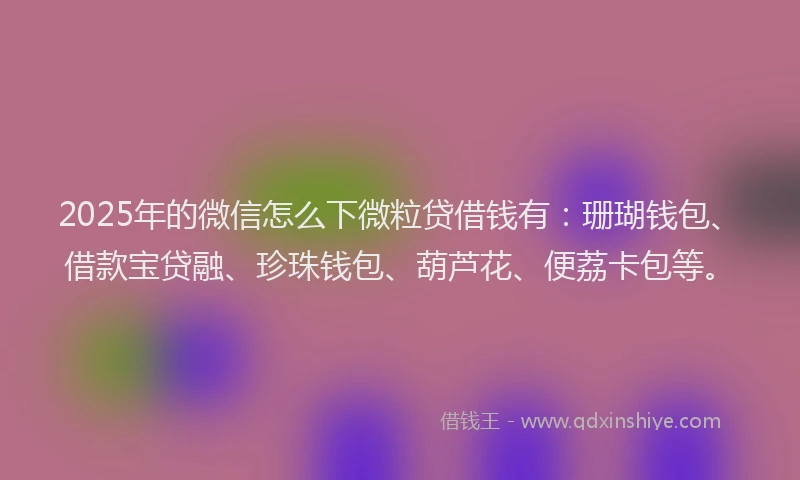 2025年的微信怎么下微粒贷借钱有：珊瑚钱包、借款宝贷融、珍珠钱包、葫芦花、便荔卡包等。