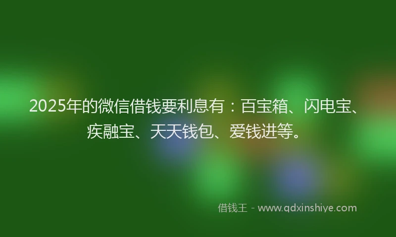 2025年的微信借钱要利息有：百宝箱、闪电宝、疾融宝、天天钱包、爱钱进等。