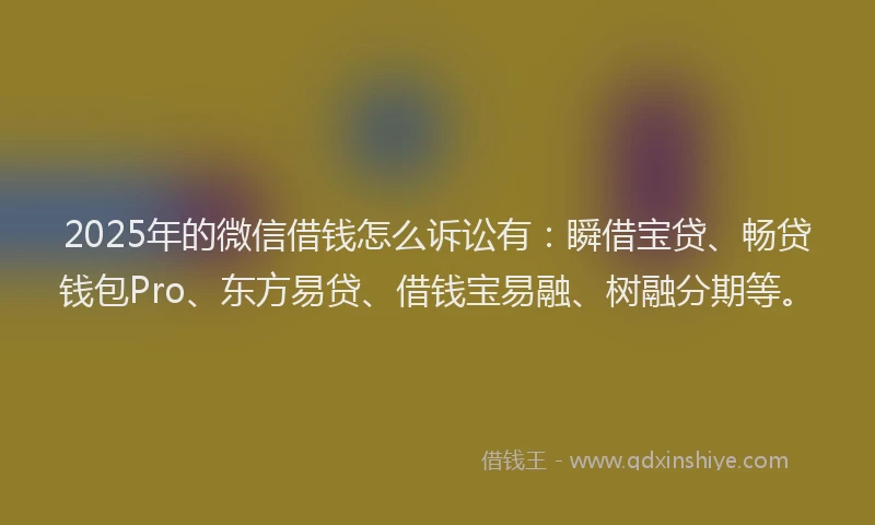 2025年的微信借钱怎么诉讼有：瞬借宝贷、畅贷钱包Pro、东方易贷、借钱宝易融、树融分期等。