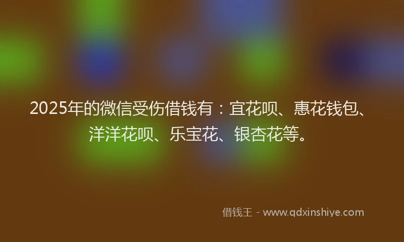 2025年的微信受伤借钱有：宜花呗、惠花钱包、洋洋花呗、乐宝花、银杏花等。
