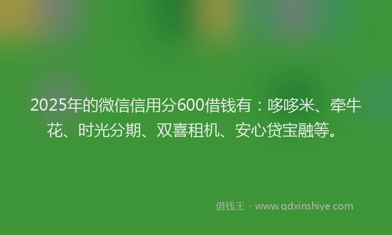 2025年的微信信用分600借钱有：哆哆米、牵牛花、时光分期、双喜租机、安心贷宝融等。