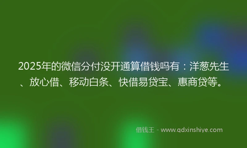 2025年的微信分付没开通算借钱吗有：洋葱先生、放心借、移动白条、快借易贷宝、惠商贷等。
