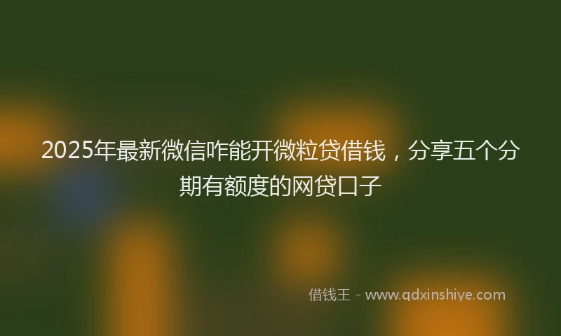 2025年最新微信咋能开微粒贷借钱，分享五个分期有额度的网贷口子