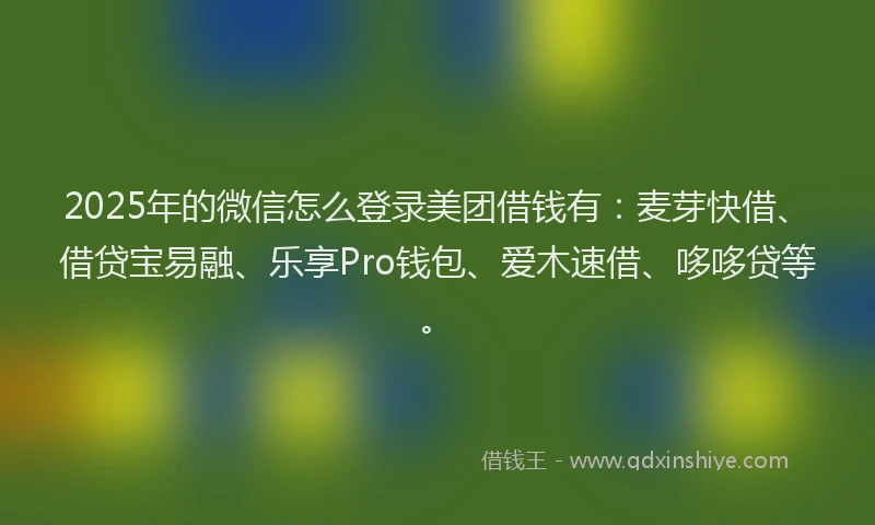 2025年的微信怎么登录美团借钱有：麦芽快借、借贷宝易融、乐享Pro钱包、爱木速借、哆哆贷等。