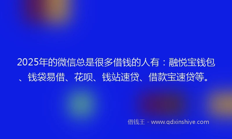 2025年的微信总是很多借钱的人有：融悦宝钱包、钱袋易借、花呗、钱站速贷、借款宝速贷等。