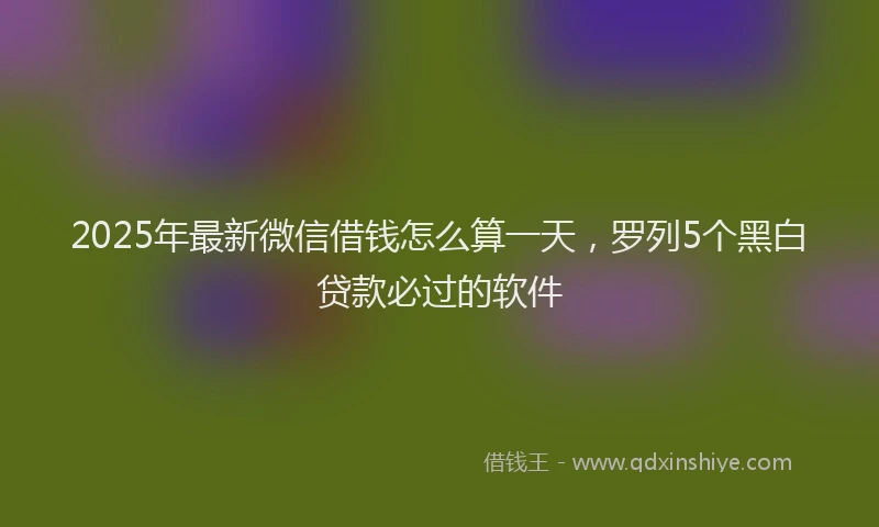 2025年最新微信借钱怎么算一天，罗列5个黑白贷款必过的软件